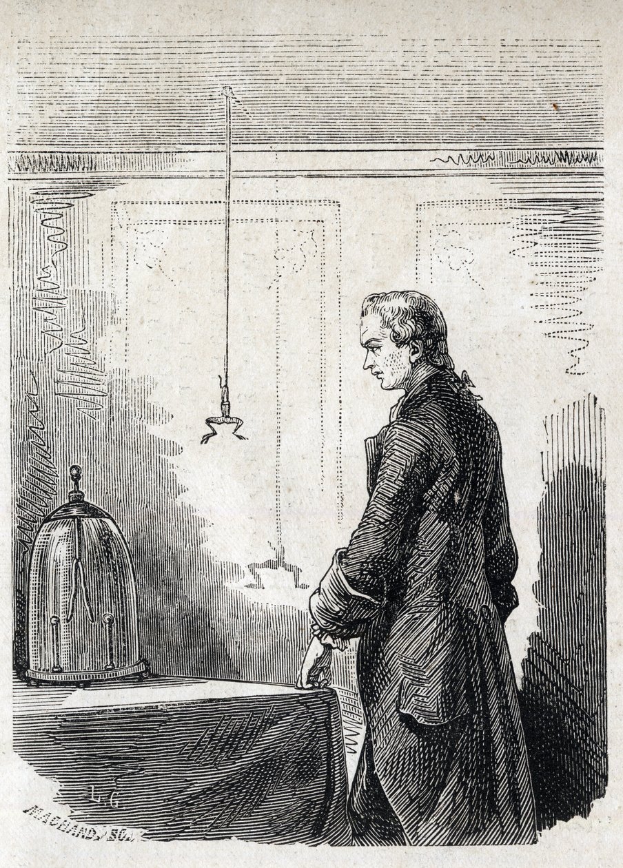 Luigi Galvani, paratoner elektriği ile kurbağa kasılmalarına neden oluyor - LUIGI GALVANI (1737-1798) İtalyan doktor ve fizikçi. Thundercloud