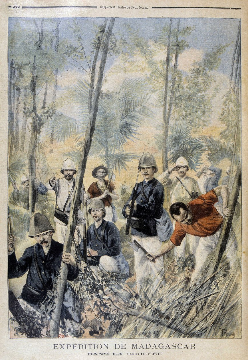 Madagaskar Seferi: çalılıkta - “” Le Petit Journal” da, Ağustos 1895 by Unknown artist
