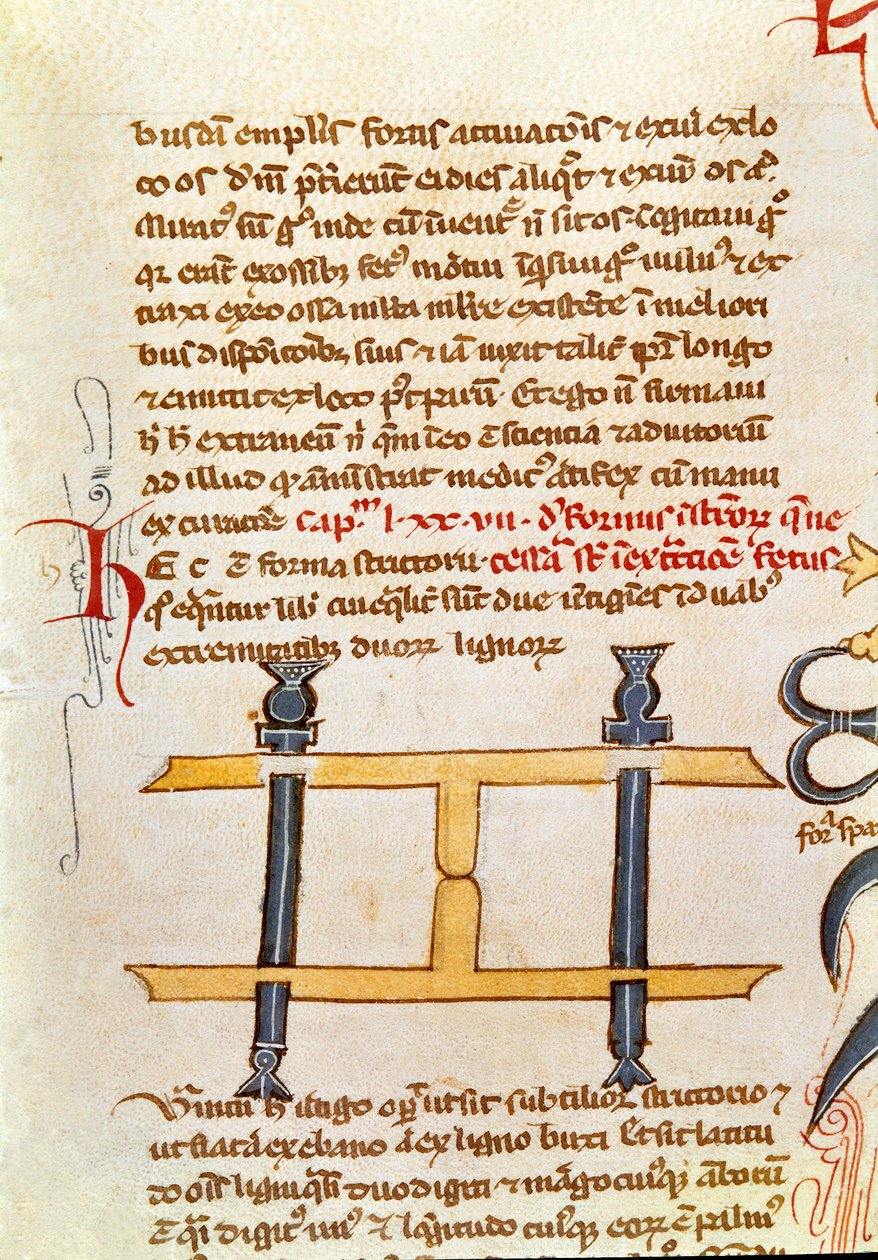 El yazması sayfası "Ameliyat" (MS. LAT.VII XXXII-3023) Guillaume de Salice (Guglielmo da Saliceto) (1207-1270) keşiş ve doktor tarafından. 14. yüzyıl Biblioteca Marciana Venedik by Unknown artist