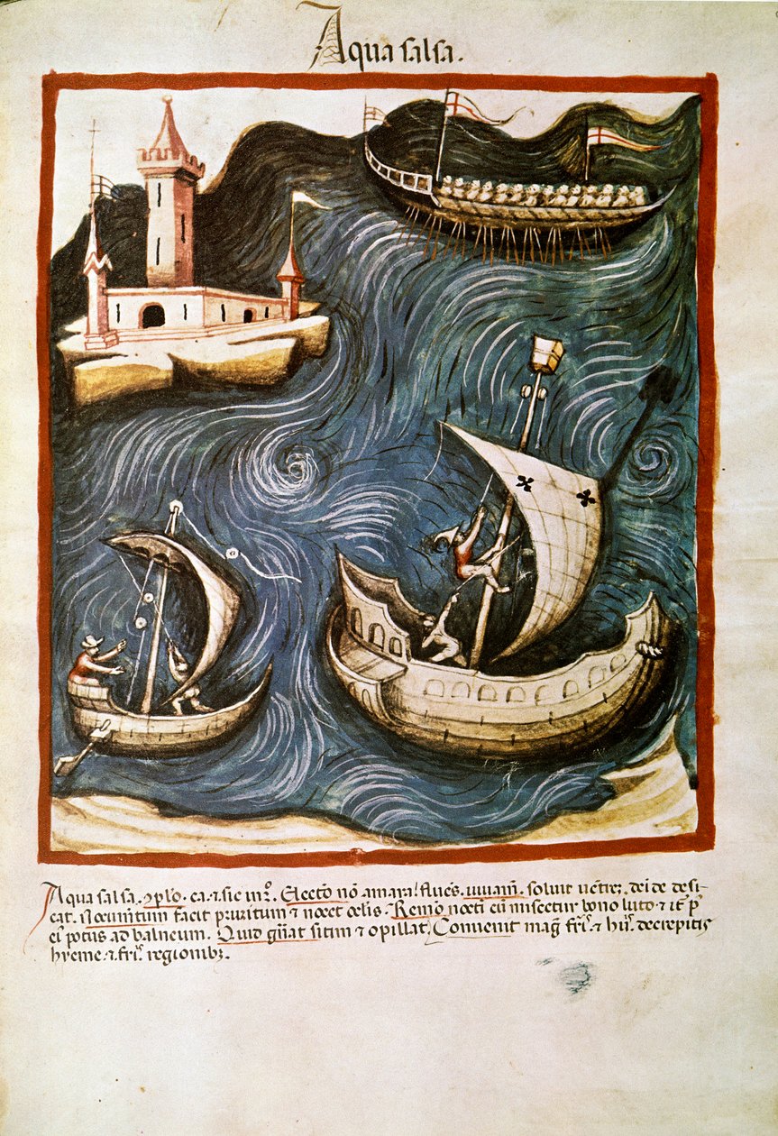 İlaç ticareti: “” tuzlu su”” “” Tacuinum sanitatis””ten alınan sayfa (Cod. ser. nov. 2644) Yaklaşık 1400 Viyana, Osterreischische Nationalbibliothek by Unknown artist