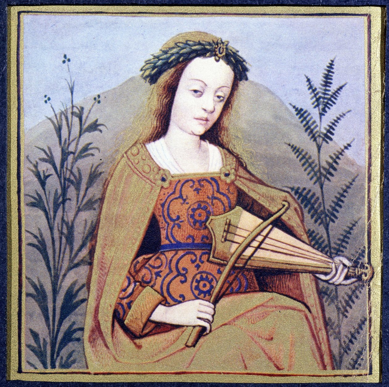 Phorcis