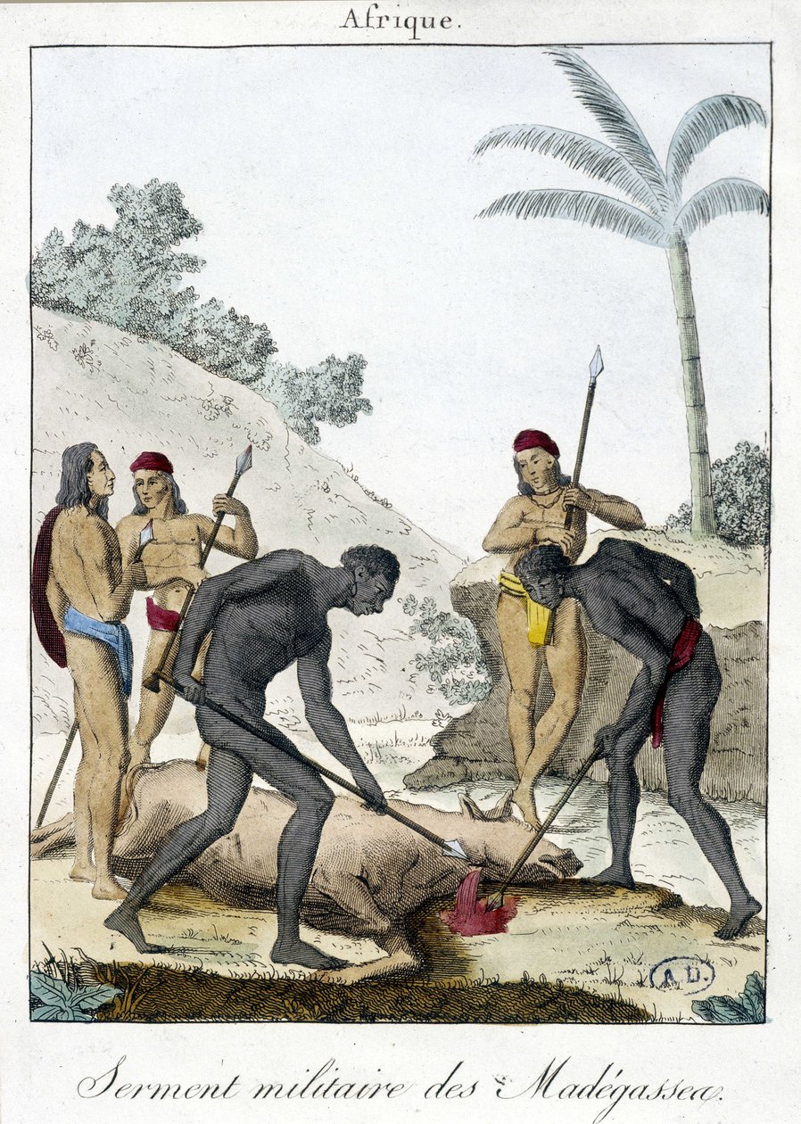 Madagaskar sakinlerinin askeri yemini (bir öküzü öldürdü) - grv. 1811 by Unknown artist