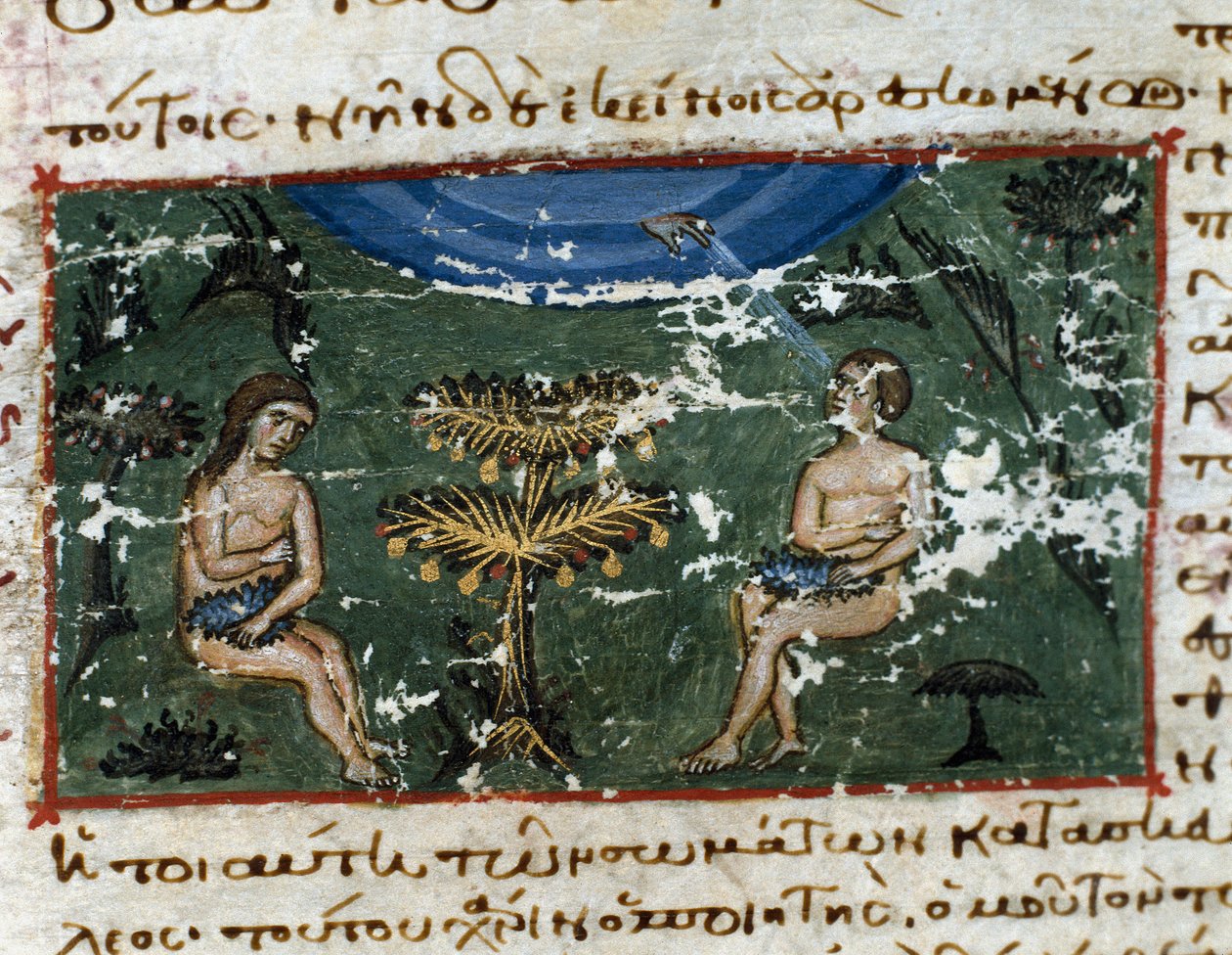 “Codex de l