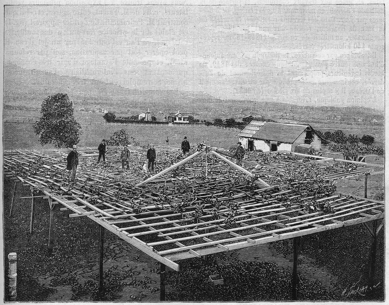 1888