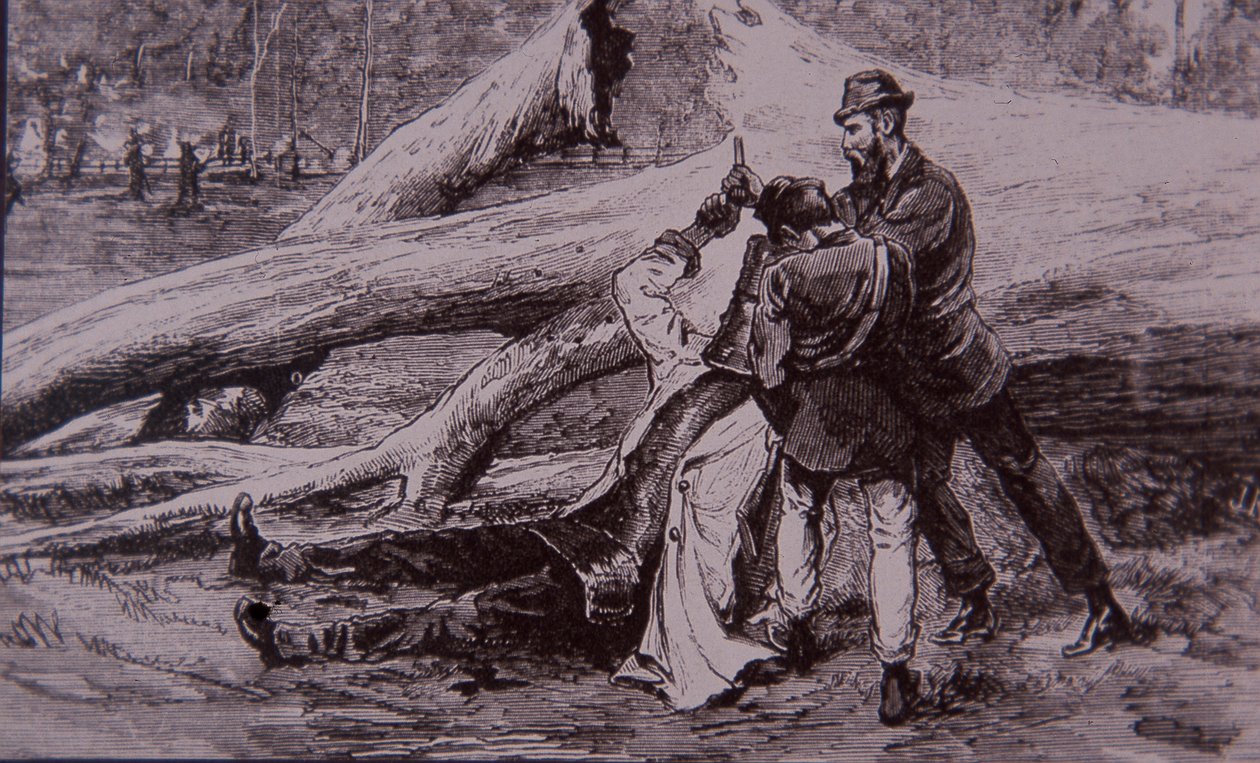 Ned Kelly, Polis Memuru Kelly ve demiryolcu Jesse Dowsett tarafından yakalandı, 28 Haziran 1880 (gravür) by Unknown artist