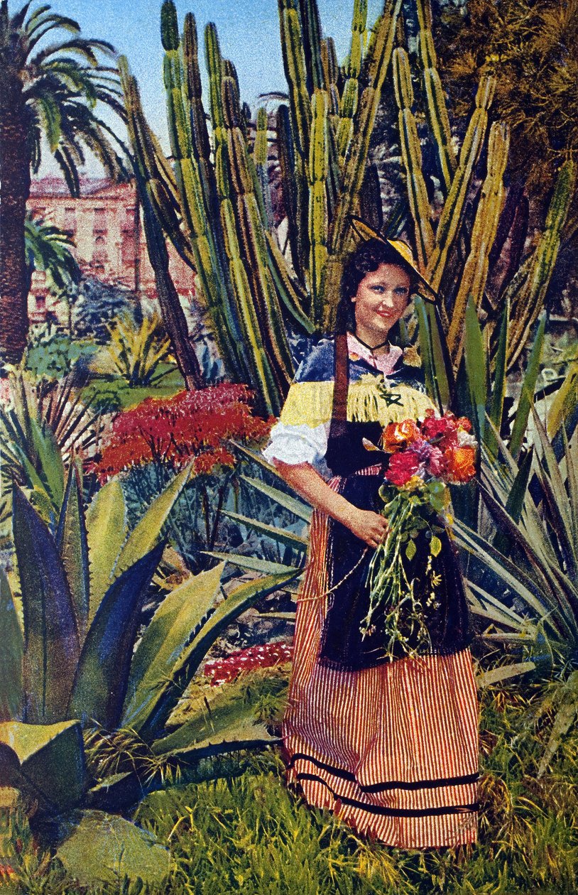 Nicoise. 1930 civarında bir kartpostal. Nice Belediye Arşivi. by Unknown Artist