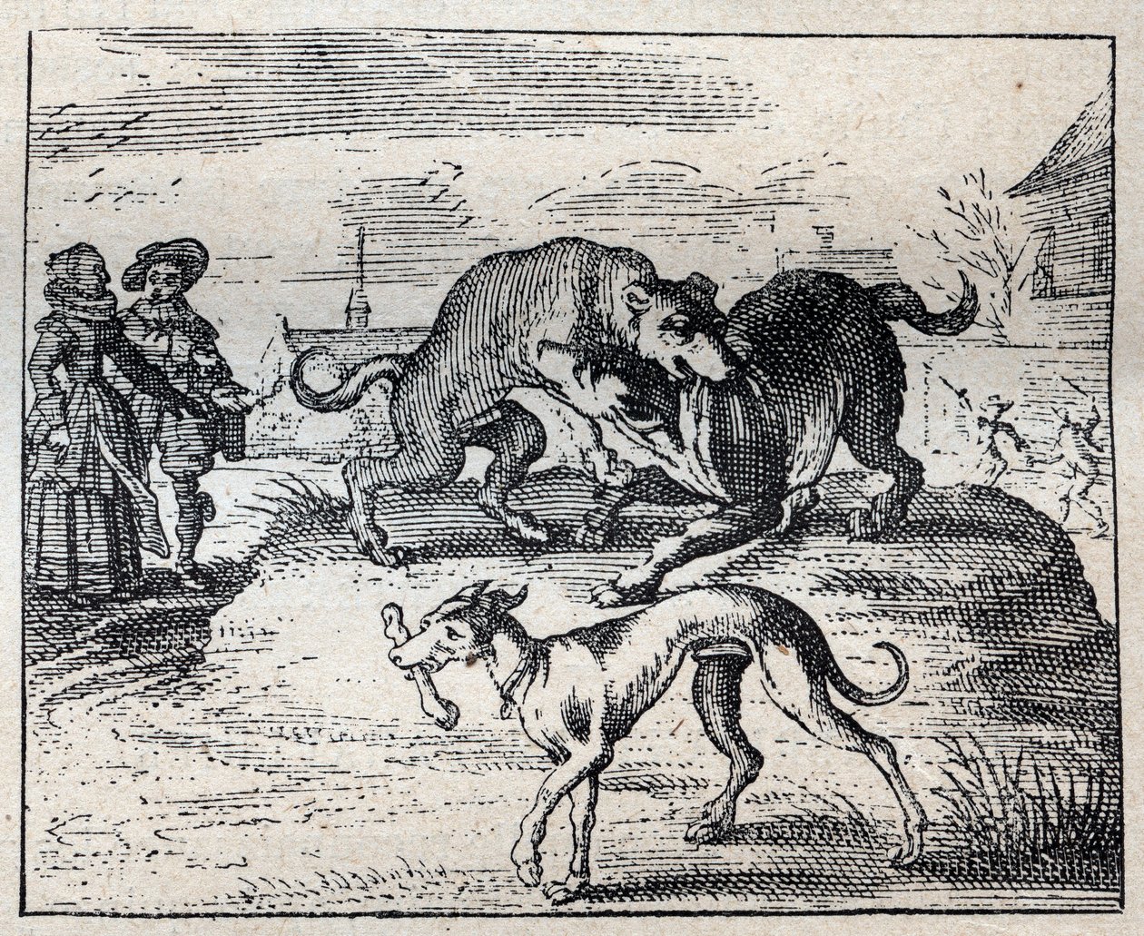 Eski İngiliz atasözü: İki köpek bir kemik için uğraşır ve üçüncüsü onu alır by Unknown artist
