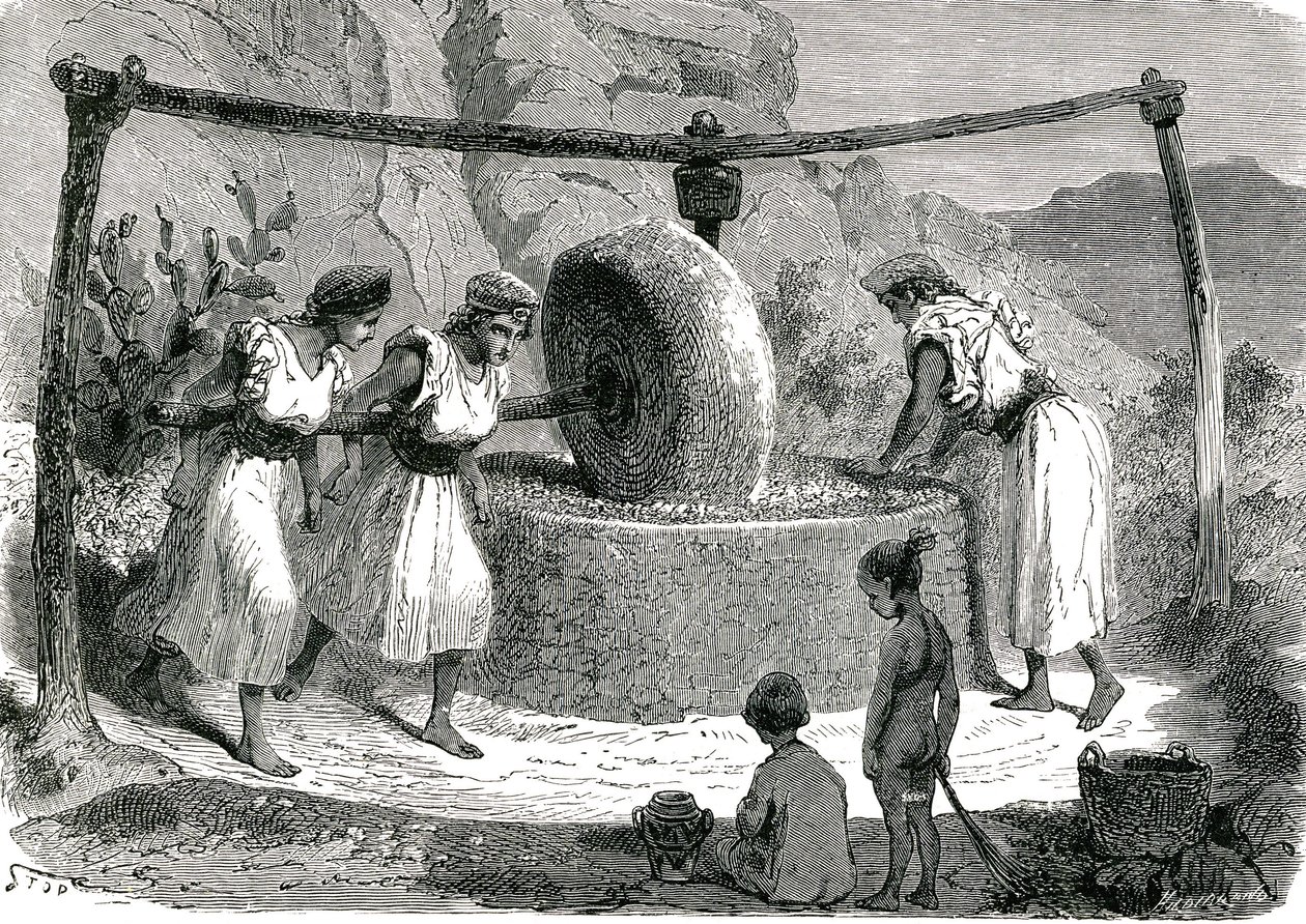 Cezayir'de zeytin öğütme değirmeni 1885 by Unknown artist