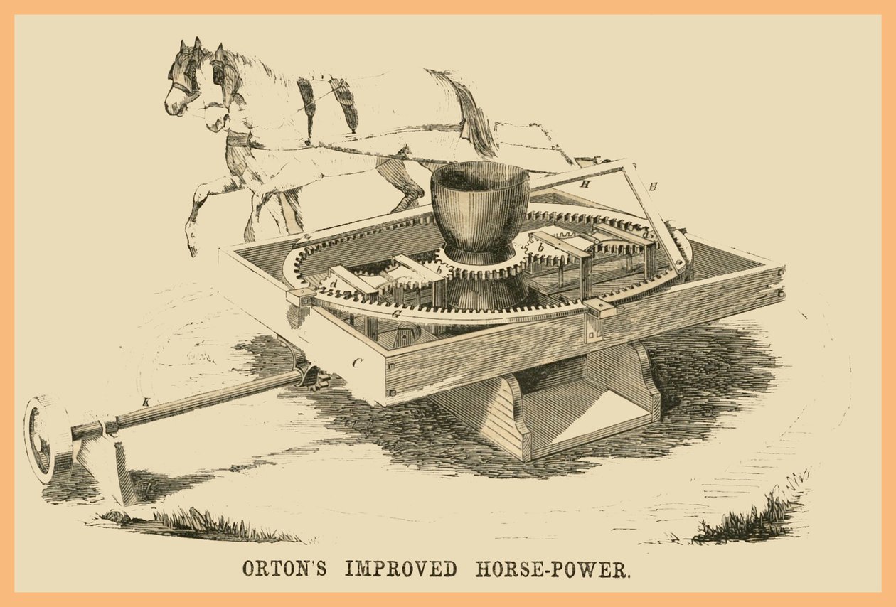 Ortons Geliştirilmiş Beygir Gücü by Unknown Artist