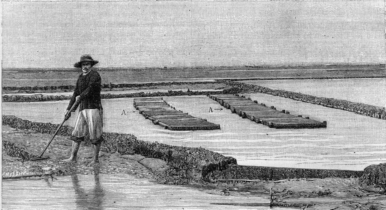 Ostreiculture - Arcachon havzasında istiridye yetiştiriciliği (1894): bir istiridye parkının genel görünümü. A, A: ambulanslar veya ostreofilik kasalar. (Bir fotoğraftan). “” La Nature