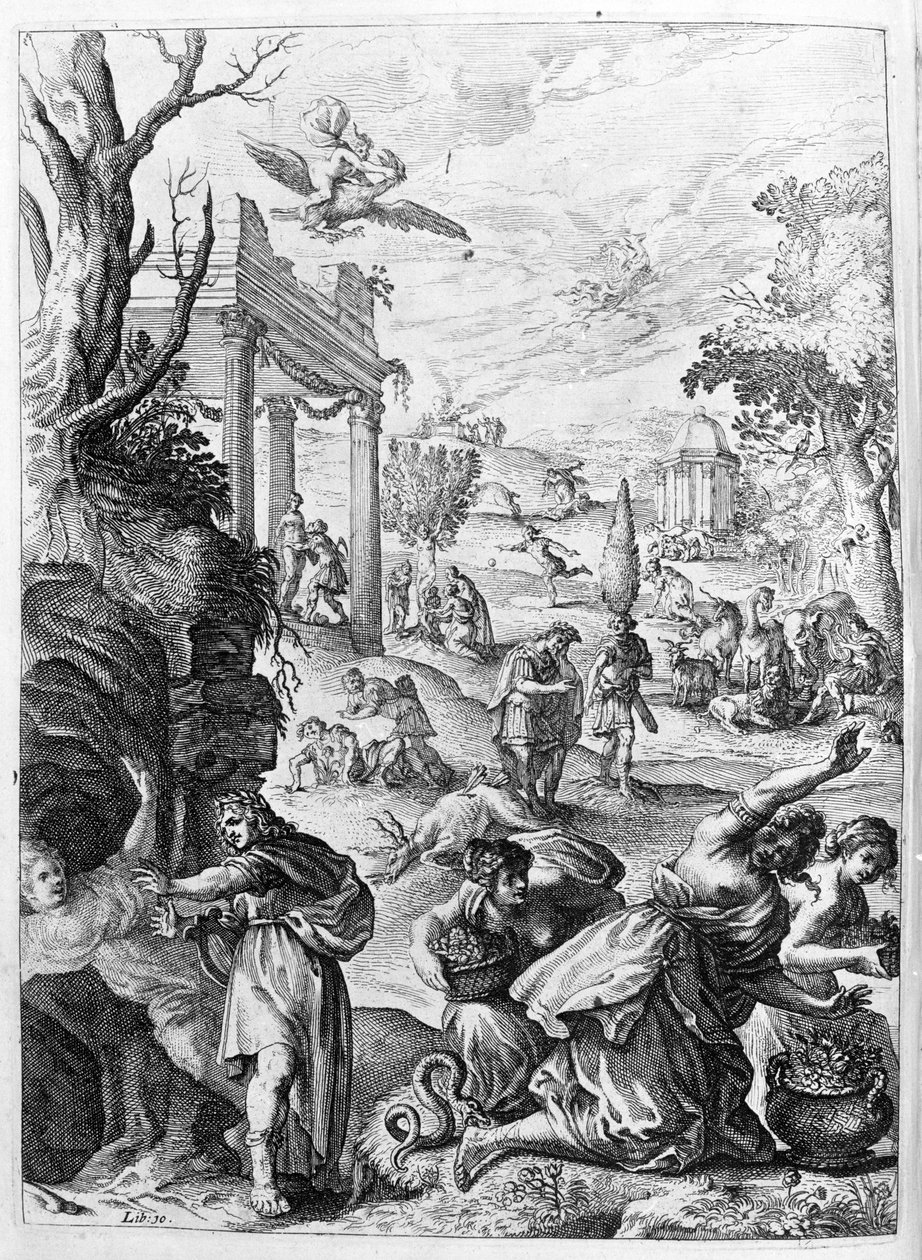 Ovidius (Ovidius) - 15. kitap için illüstrasyon - (P. Ovid