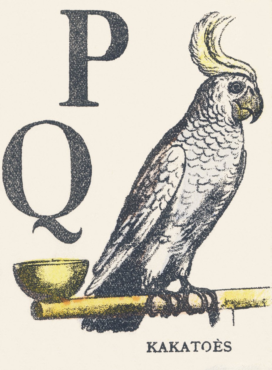 P S: kakatolar by Unknown artist