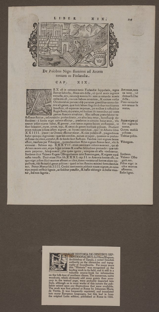 Olaus Magnus