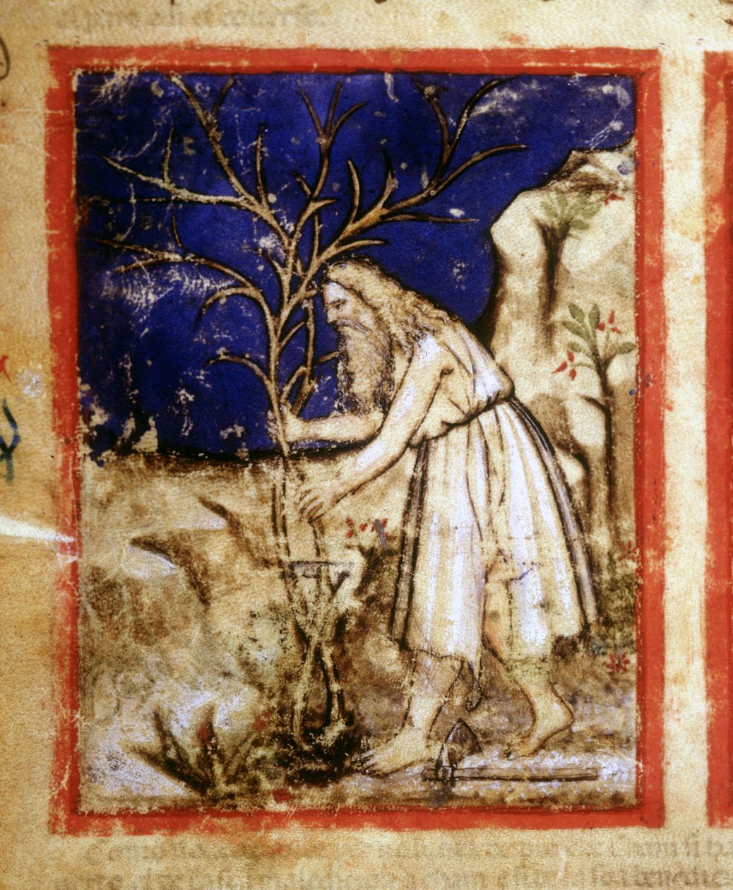Bir İncil el yazmasının sayfası. Nuh'un bitki yaşamı. Kodeks 212'den minyatür (veya padovano kodu veya Padua İncili) 1390-1400 Rovigo, Accademia dei Concordi by Unknown artist