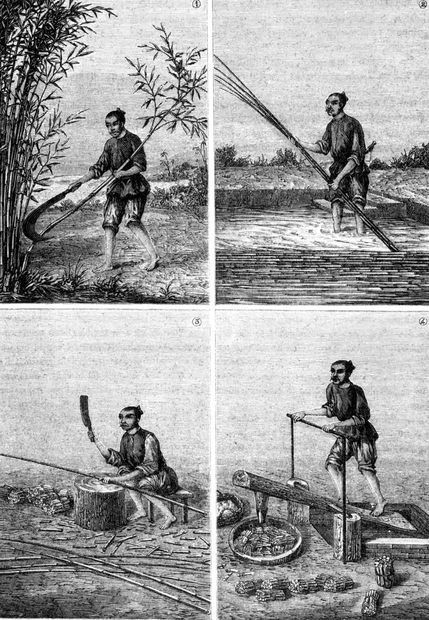 Louis Figuier, Paris tarafından “Les harikalar de l