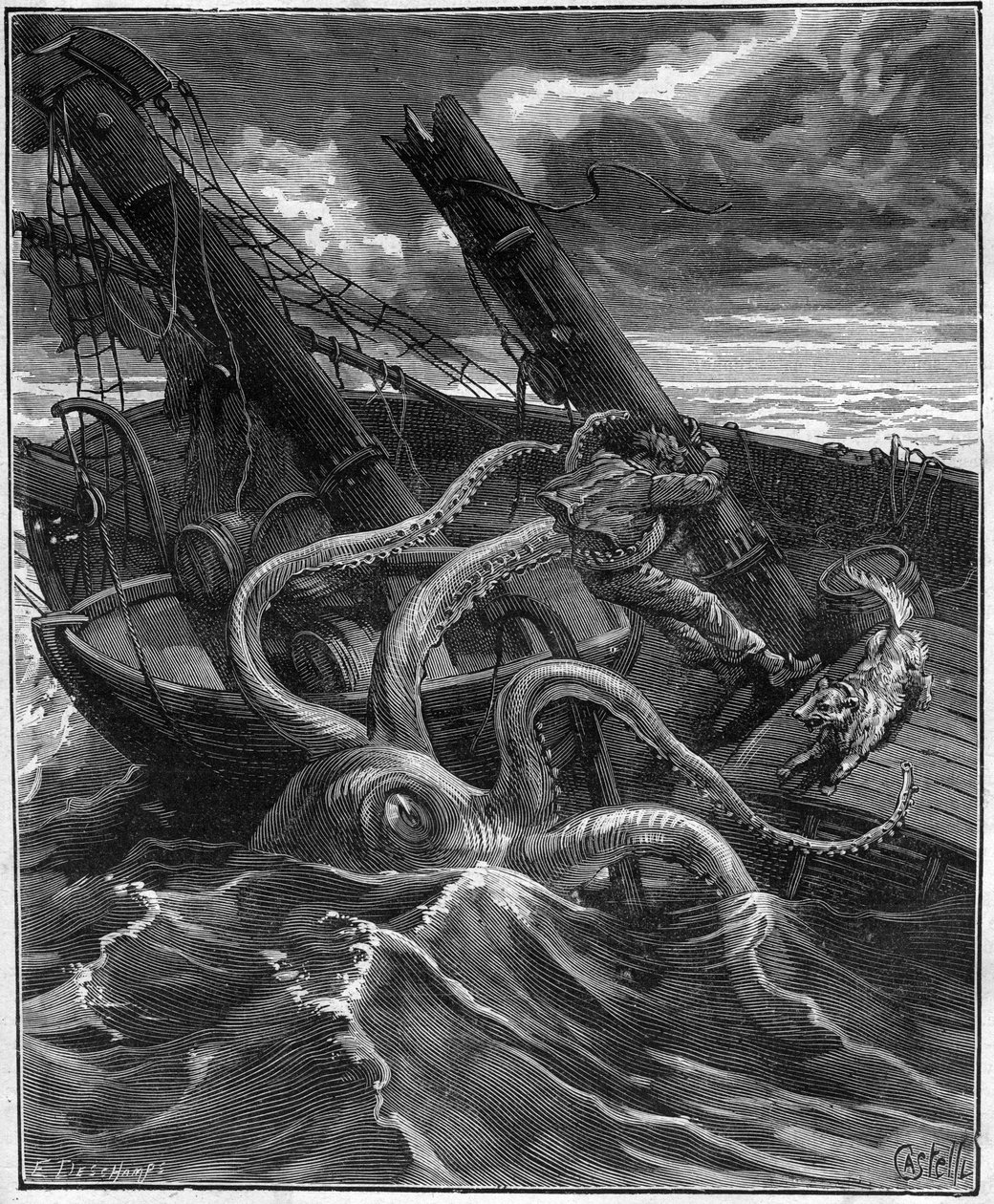 Nergis Nicaise
