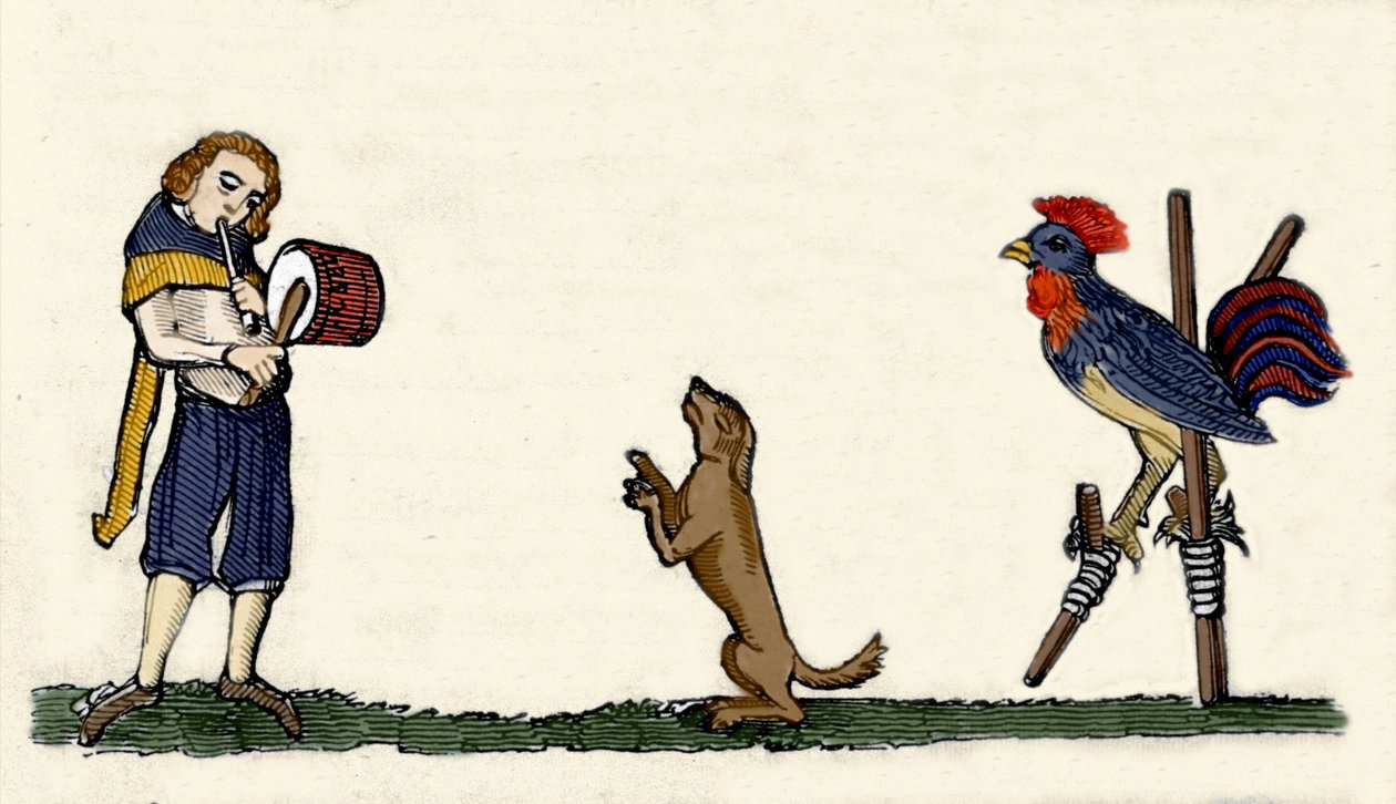 Evcil hayvanlar eğitilir: bir köpek ve bir horoz, davulun ritmine göre hareketsiz görüntüler üzerinde dans eder. Oxford Bodleian kütüphanesinden 1344 tarihli bir el yazmasından gravür. by Unknown artist