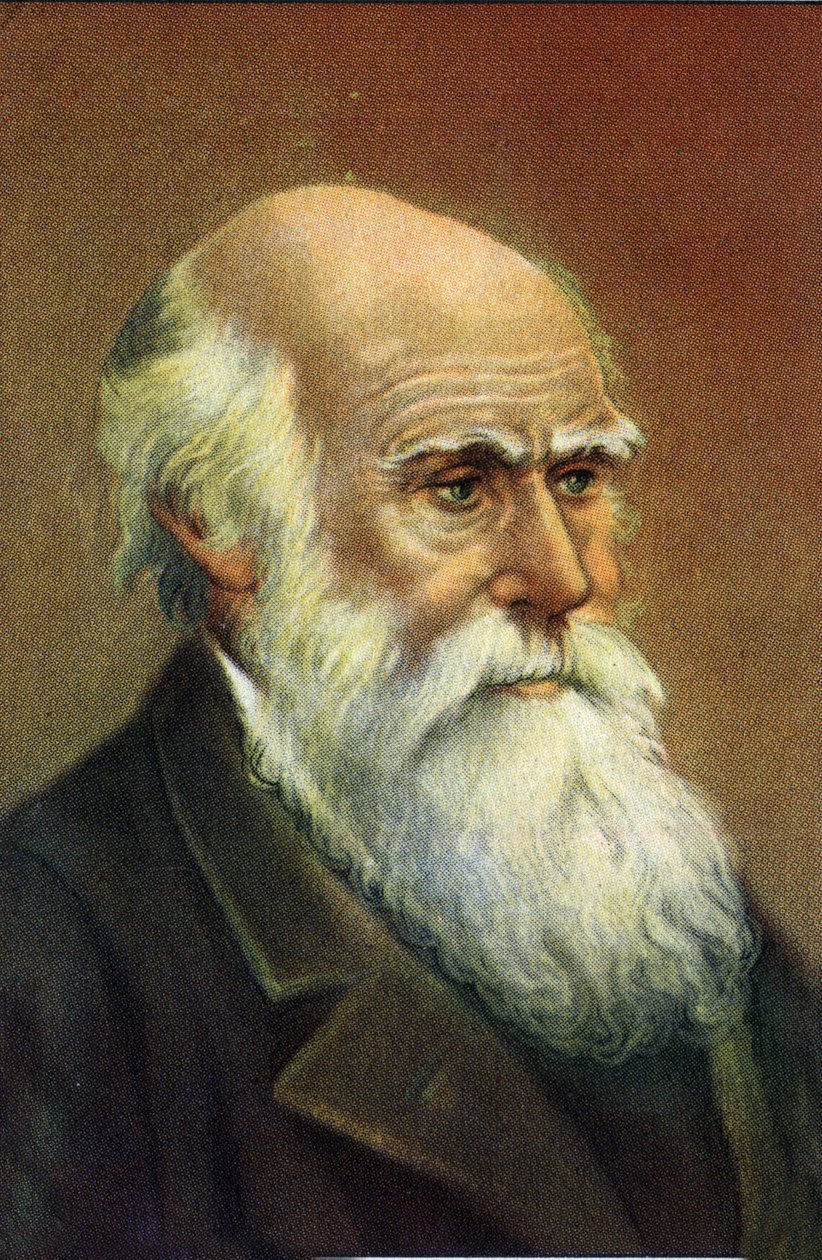 İngiliz doğa bilimci Charles Darwin