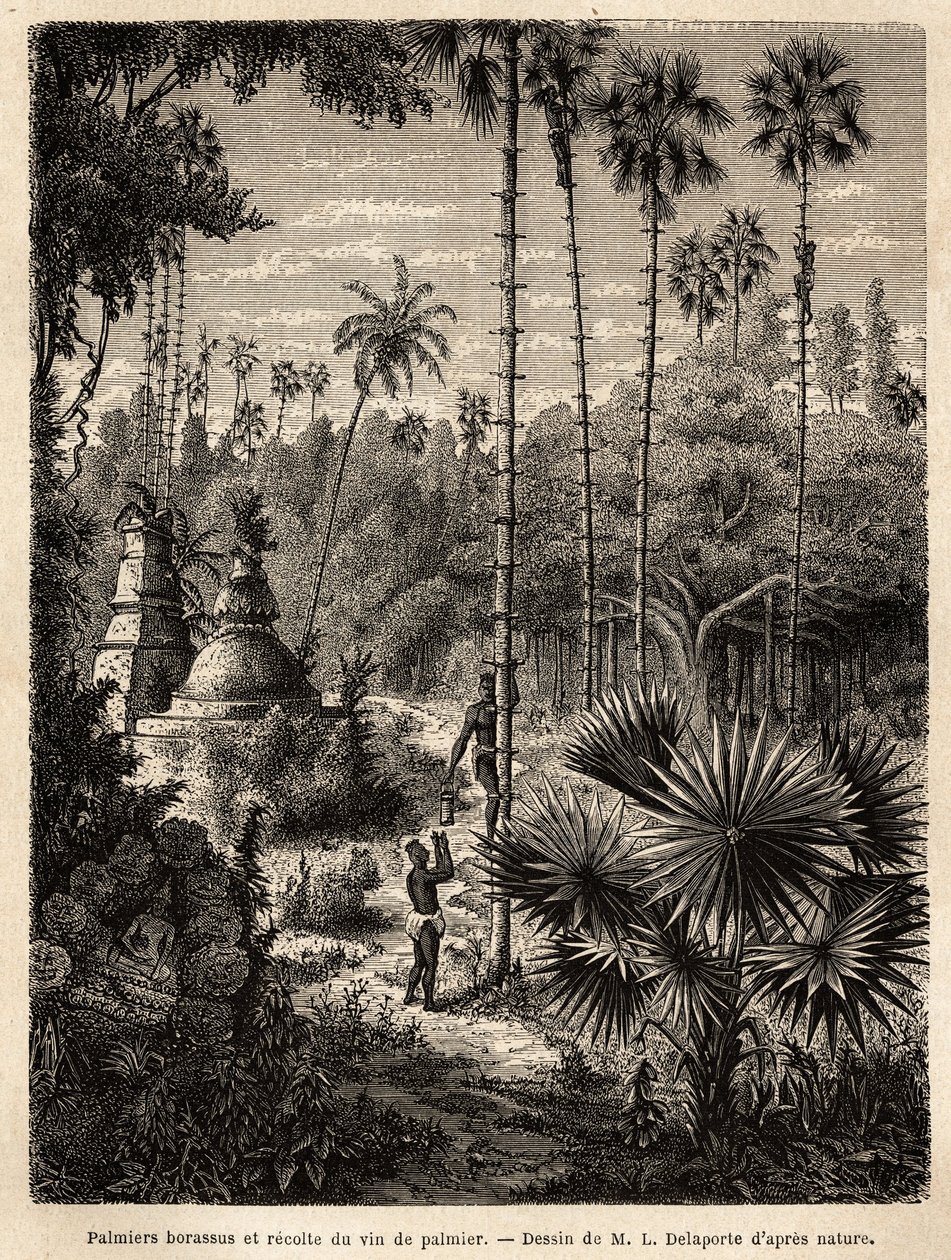 Laos