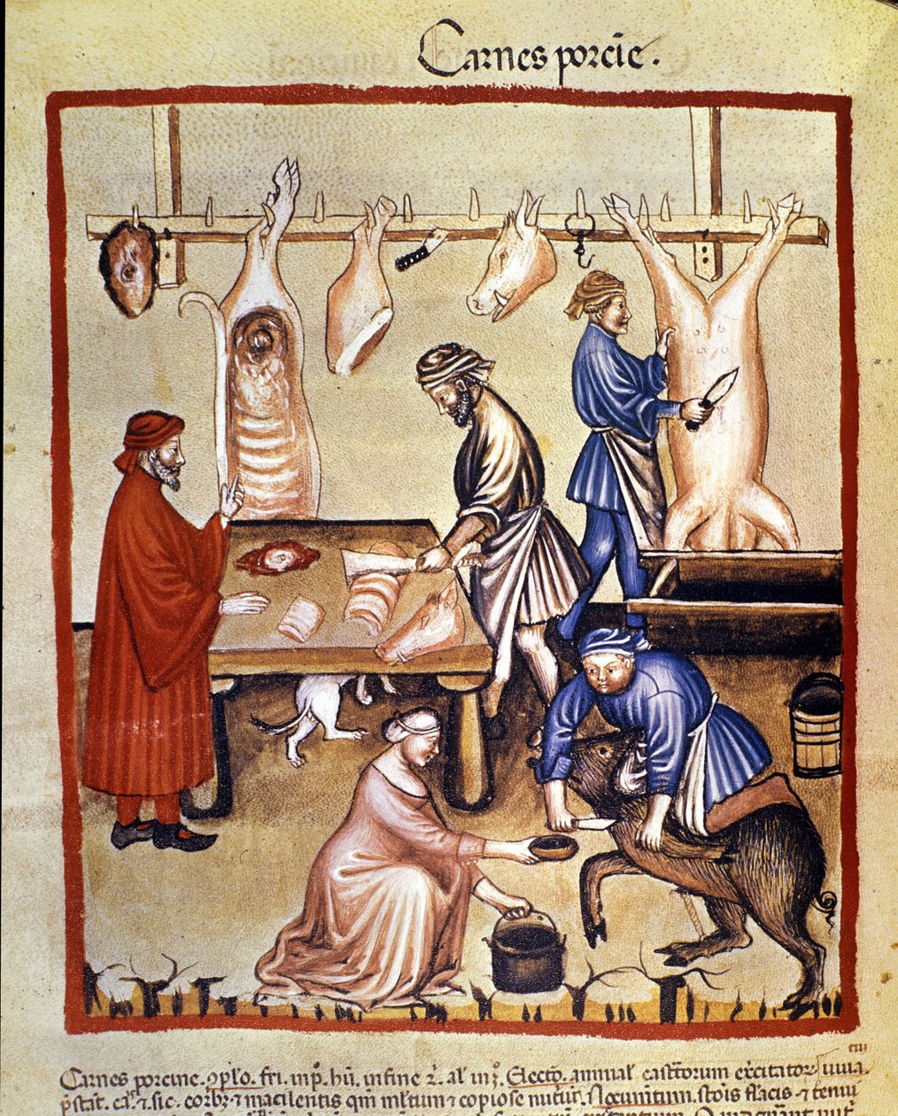 Domuz eti üretimi. Domuz kesilir ve kasaplar parçaları keser. İlaç ve diyetetik sağımlarından aydınlatma “” Tacuinum sanitatis”” by Unknown artist