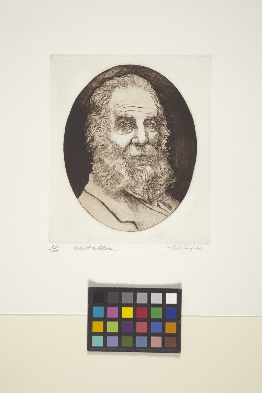 Walt Whitman'ın Portresi (mürekkep, baskı) by Unknown artist