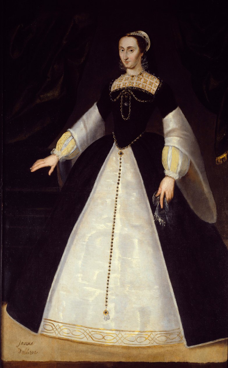 Navarre Kraliçesi (1528-1572) IV. Henry Anonim tablosunun annesi Joan of Albret