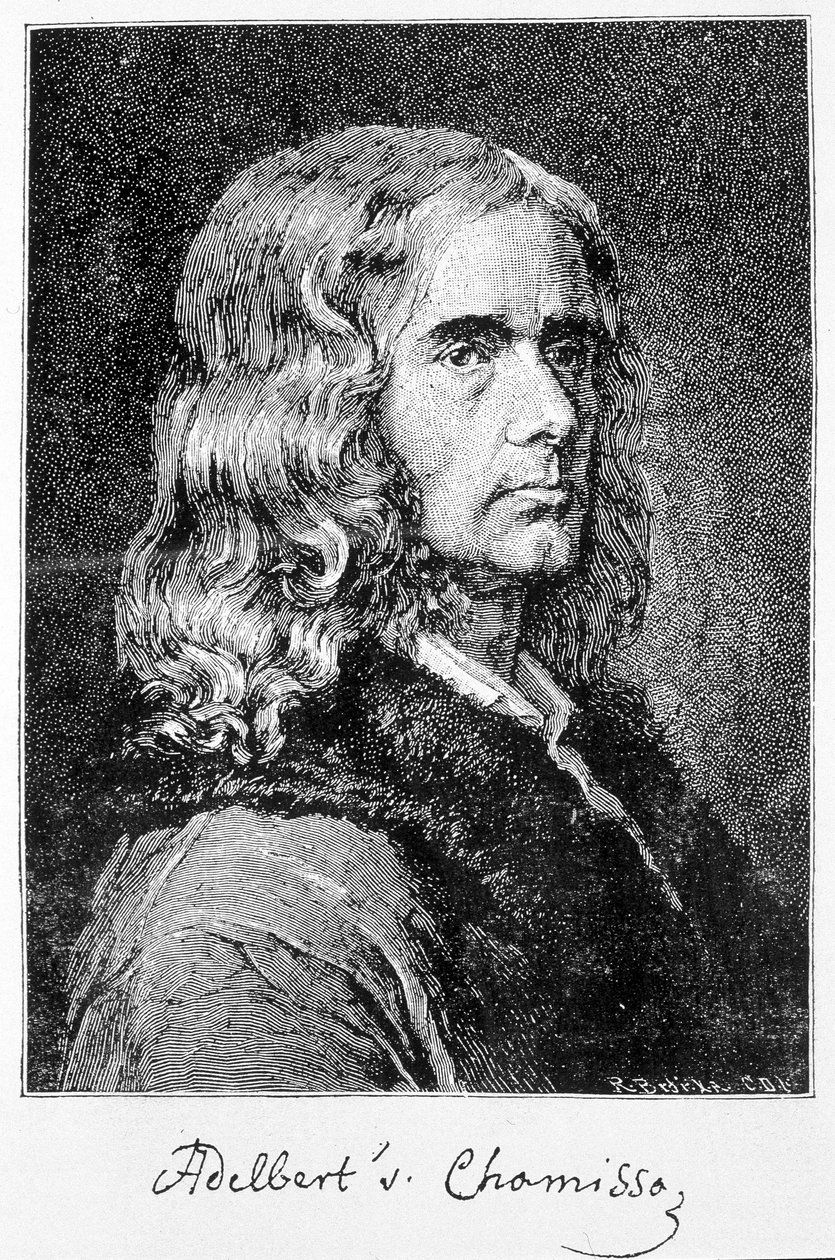 Aldebert Von Chamisso de Boncourt