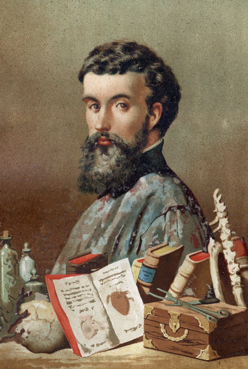 André Vésale (1514-1564), Hollandalı anatomist (Latince: Andrea Vesalius, Hollandaca: Andries Van Wesel) Louis Figuier