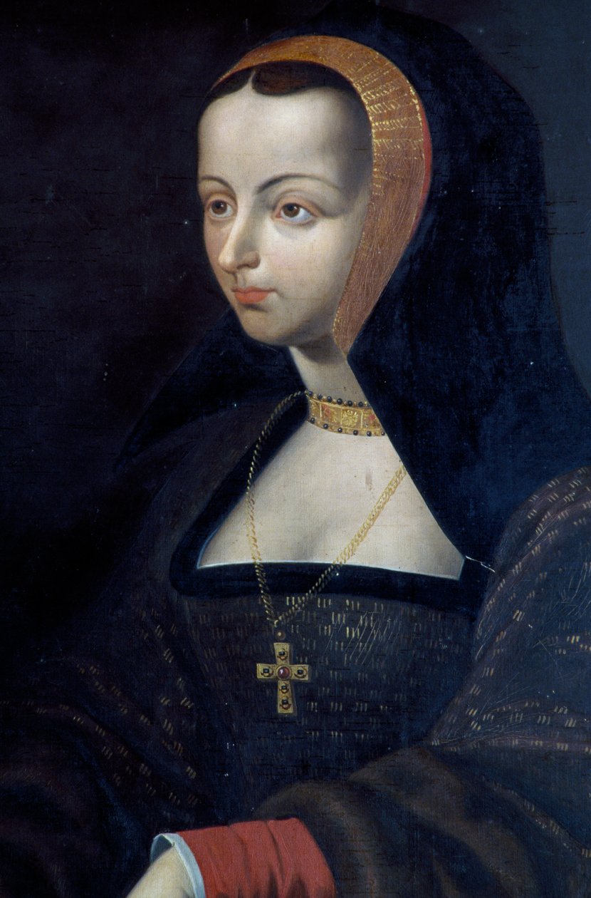 Fransa Catherine Borbone#39;un portresi (resim) by Unknown artist