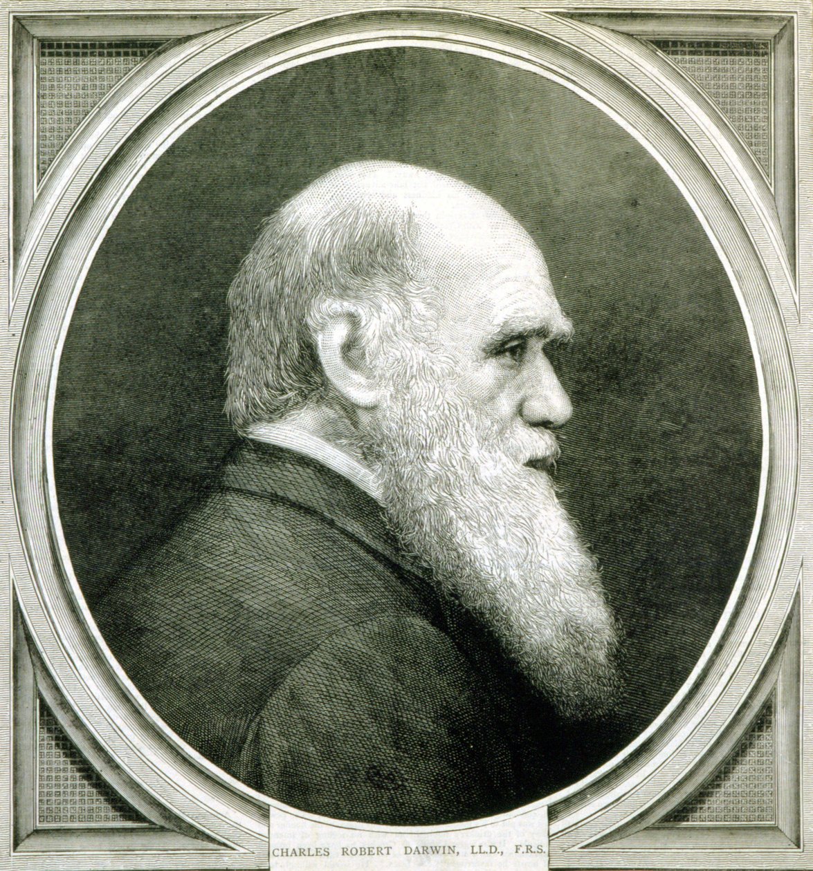 Charles Darwin