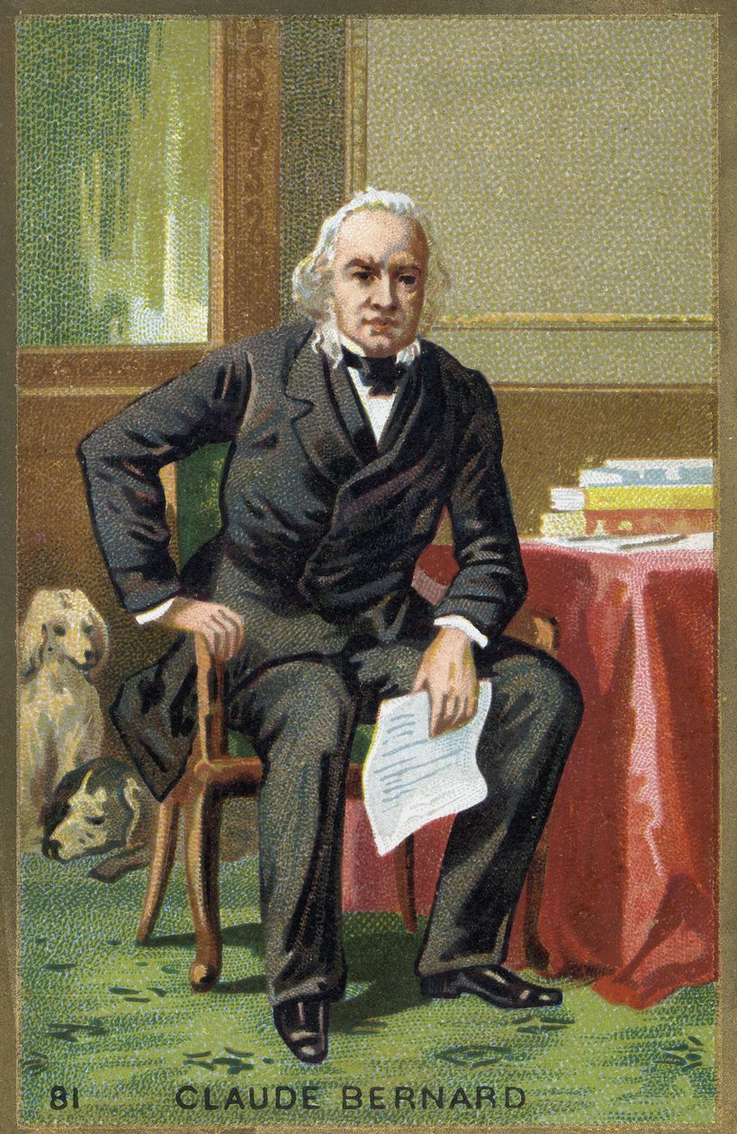 Claude Bernard (1813-1878), Fransız fizyolog portresi. by Unknown artist