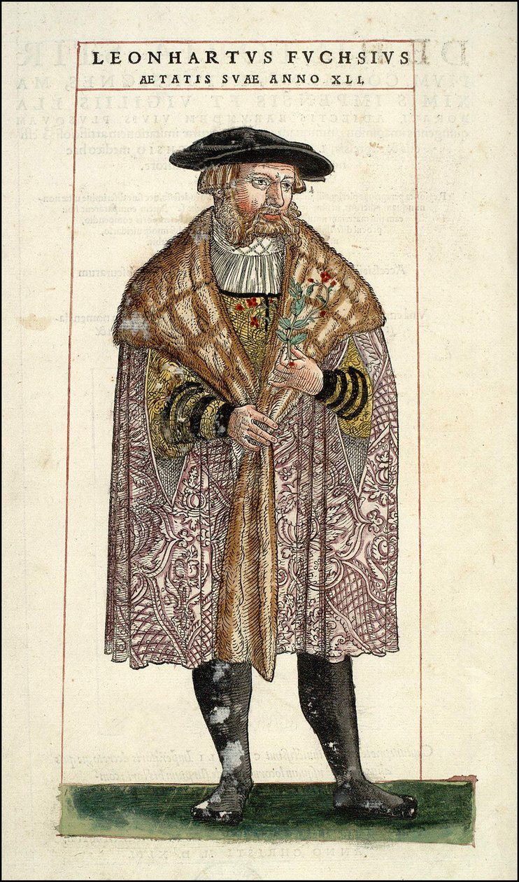 Leonhart Fuchs