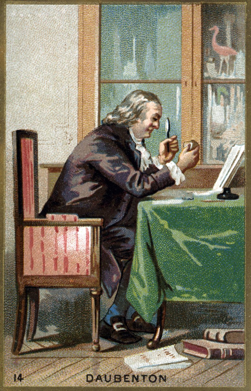 Louis Jean Marie Daubenton