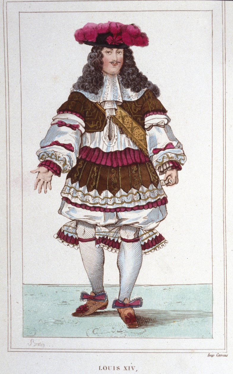 Louis (1638 - 1715), Fransa Kralı