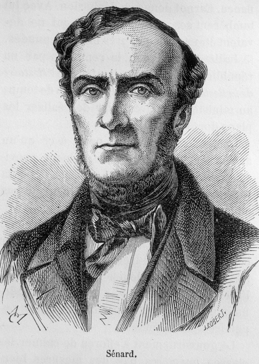 Paris Barosu üyesi, eski Ulusal Meclis Başkanı ve eski İçişleri Bakanı Marie Antoine Jules Senard