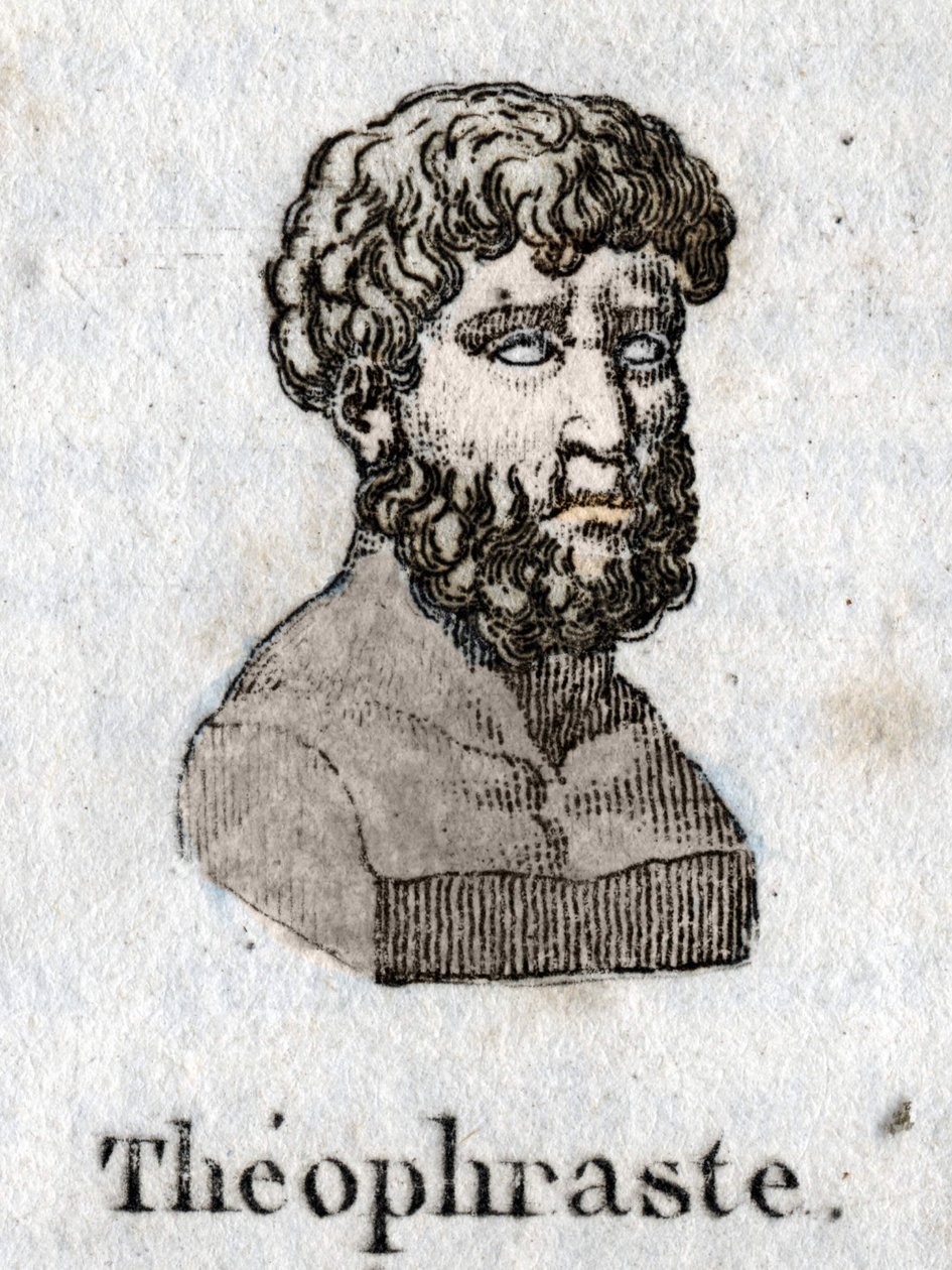 Theophraste