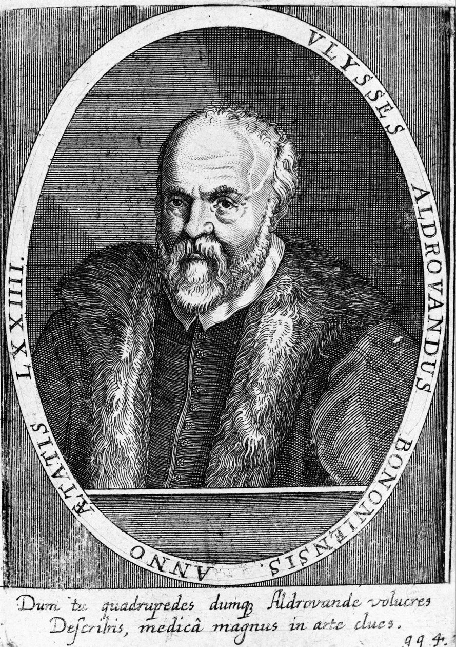 Ulisse Aldrovandi