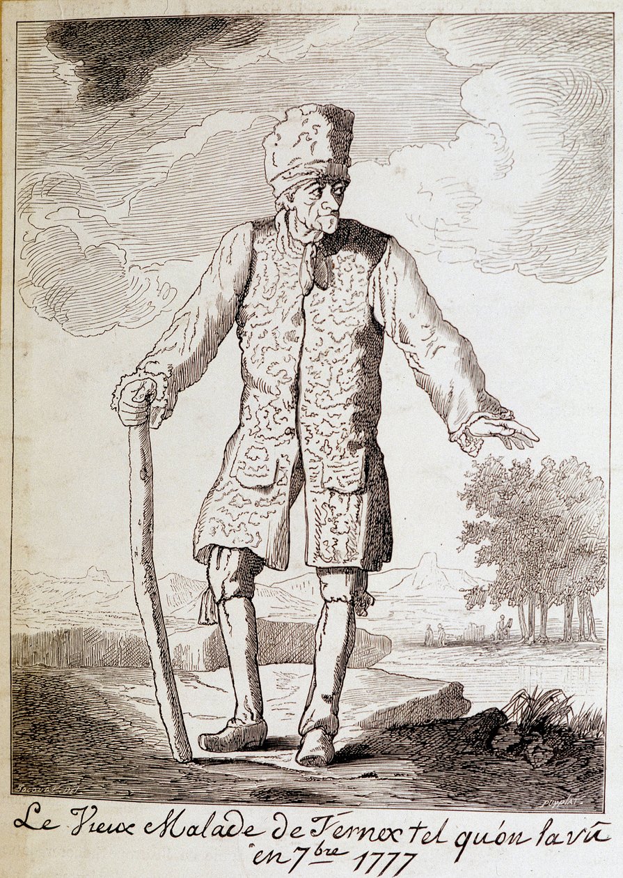 Voltaire
