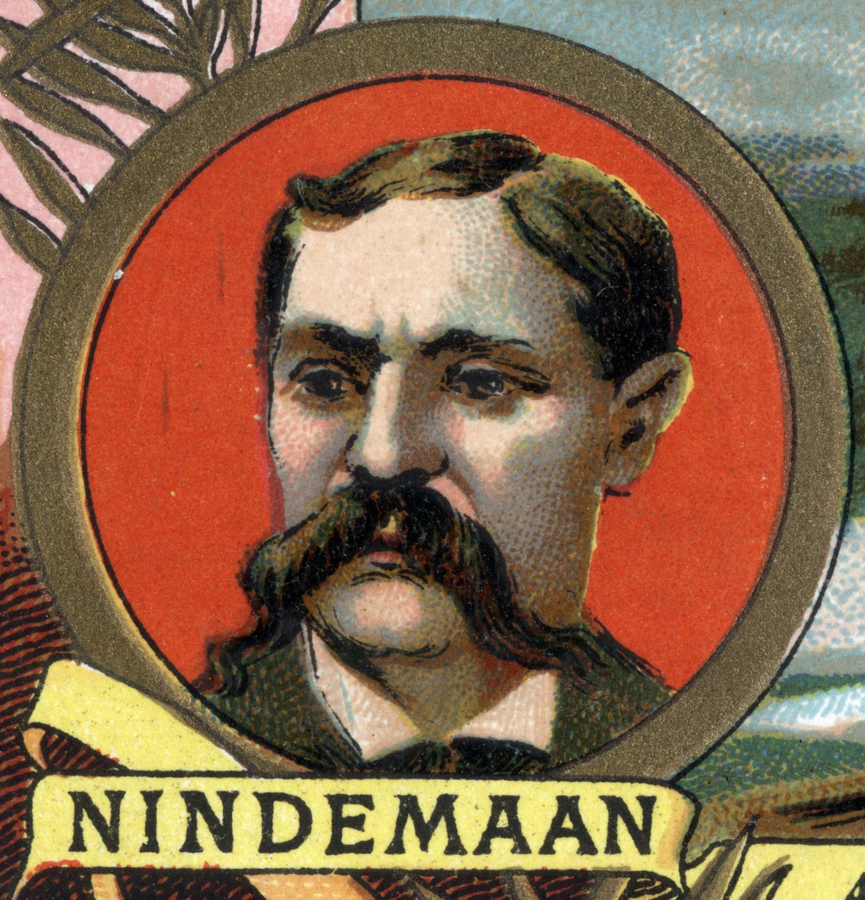 William F.C.