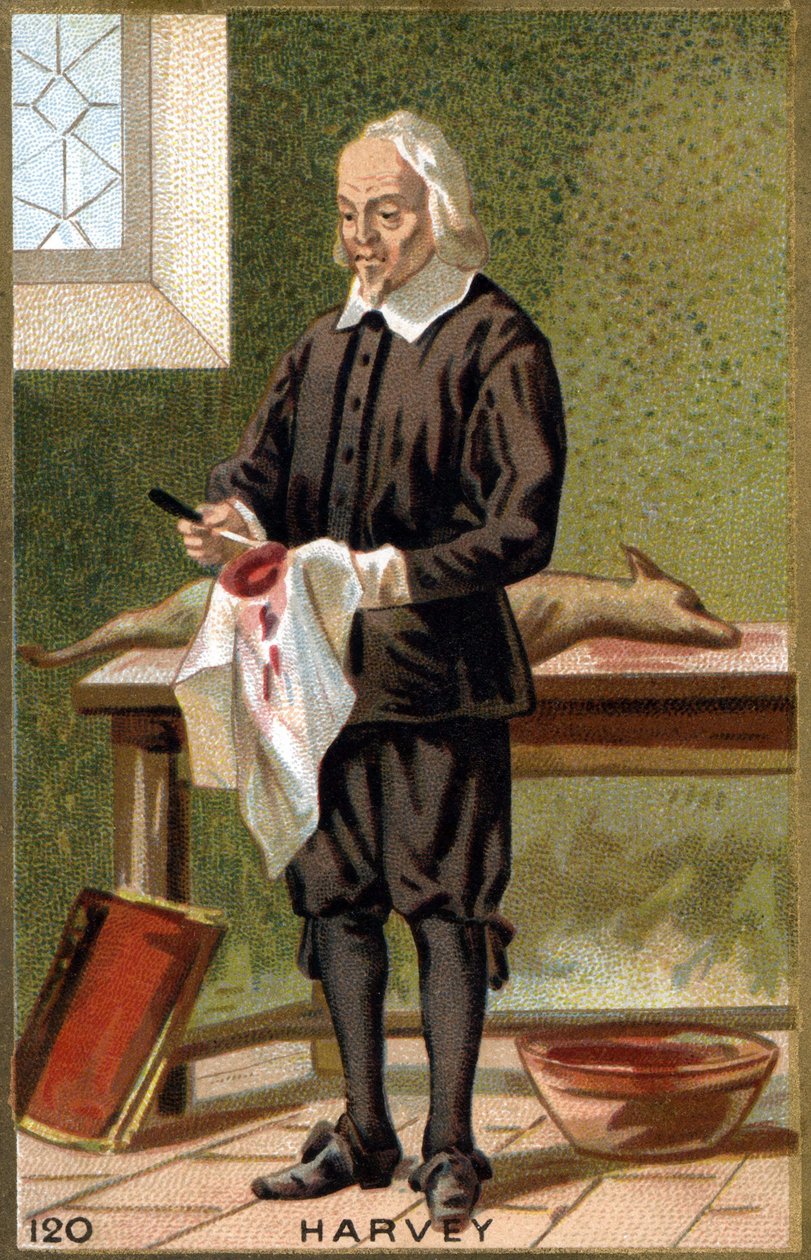 William Harvey (1578 - 1657), İngiliz doktor portresi. 19. yüzyıl kromolitografisi. by Unknown artist