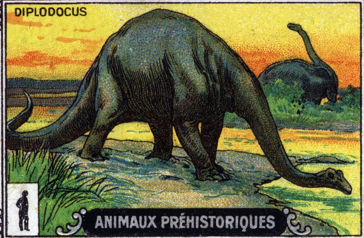Tarih öncesi hayvan: bir diplodocus dinozoru (chromo) by Unknown Artist