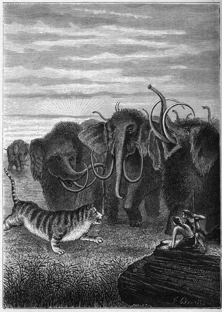 Tarih Öncesi: Mamutlar ve kedi dev mağaraları. Elie Berthet