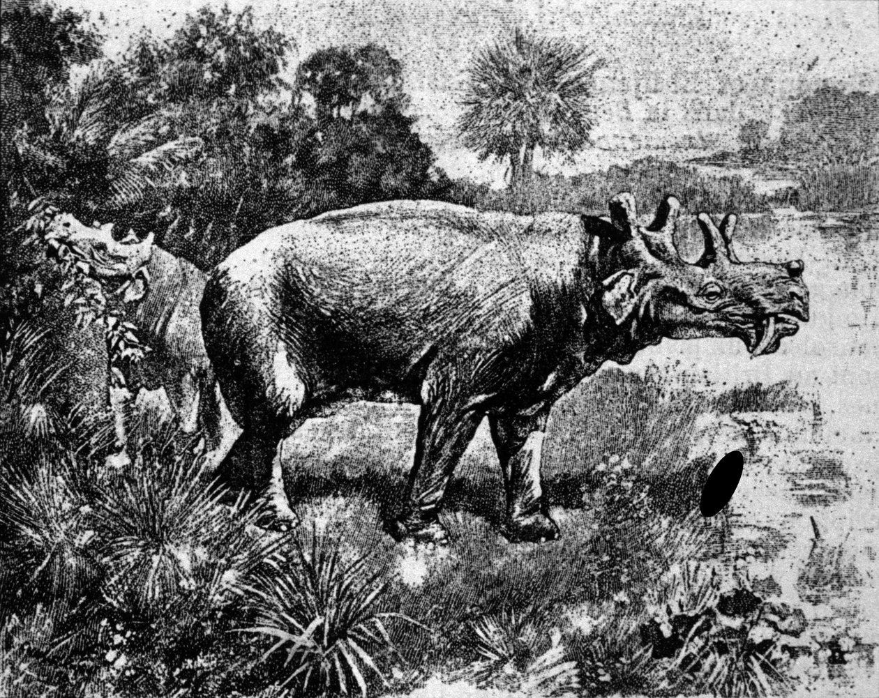 Prehistorya: Dört boynuzlu bir Uintatherium dinozorunun temsili. by Unknown artist