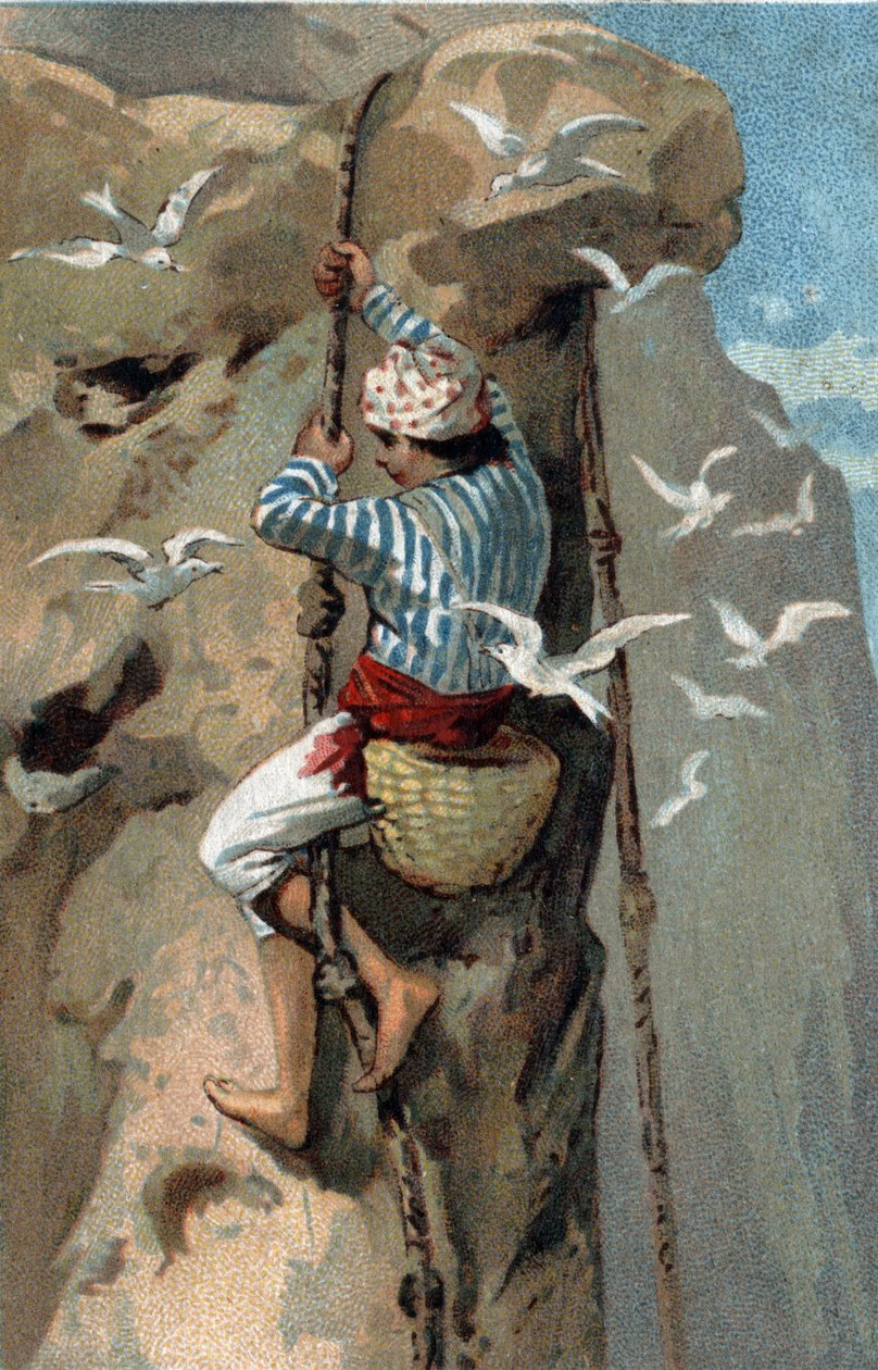 Salangan