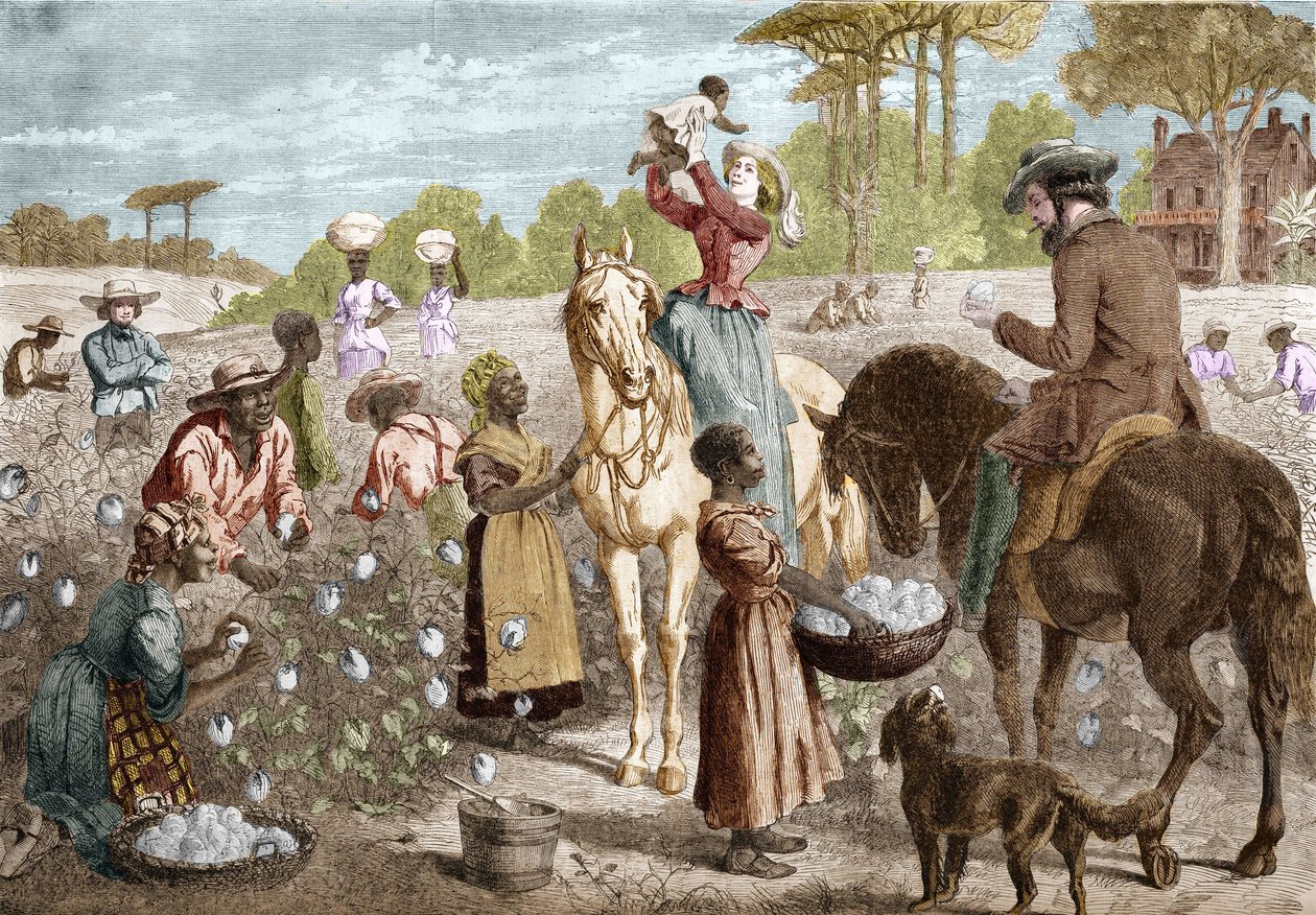 1864