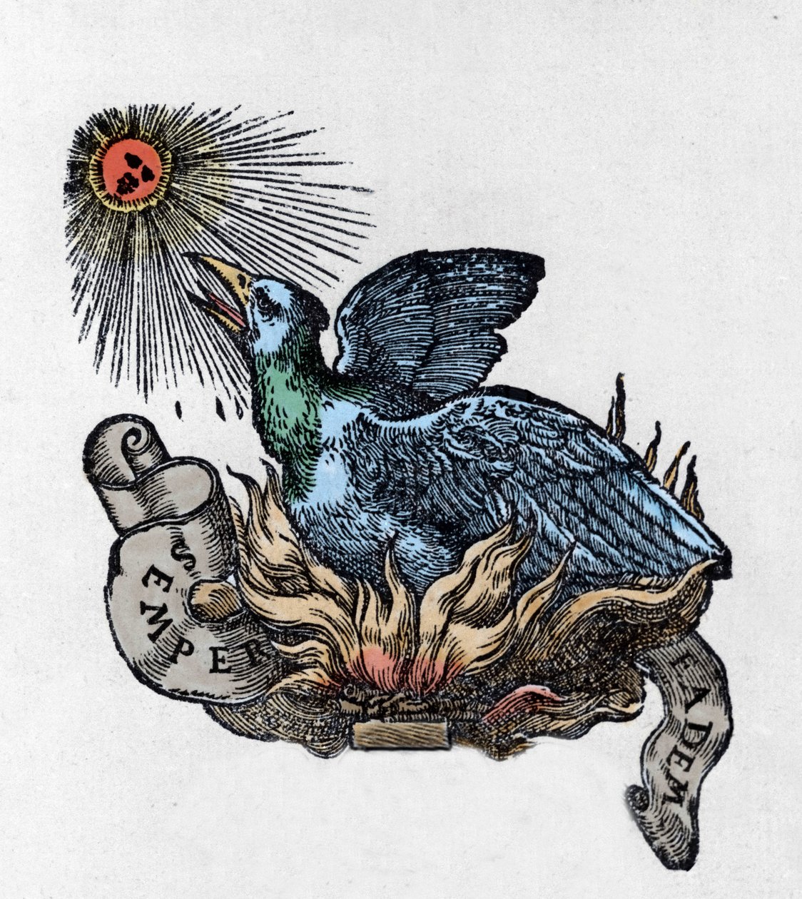 Küllerinden yeniden doğan efsanevi kuş Anka kuşu (veya anka kuşu) temsili. 19. yüzyıl gravürü by Unknown artist