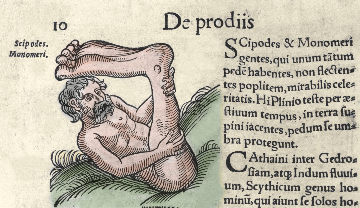 Bir Sciapod canavarının temsili Wolfhart (Conrad Lycostene) 1557