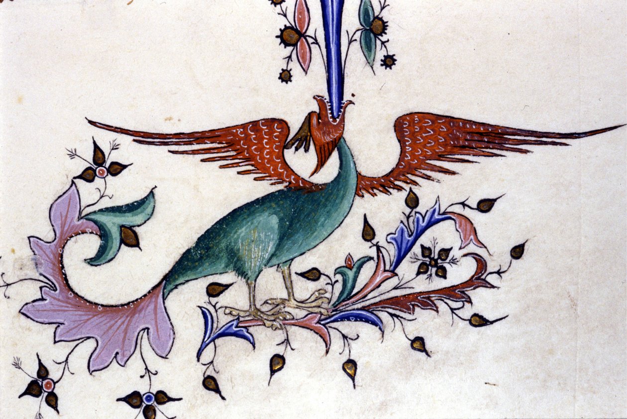 Bir ejderha kanadının temsili. 14. yüzyıldan kalma bir el yazmasının minyatürü. Milano, Biblioteca Nazionale Braidense. by Unknown artist