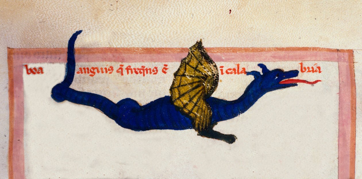 Julius Solinus tarafından "" Cosmographia "dan alınan minyatür kanatlı bir ejderhanın temsili by Unknown artist