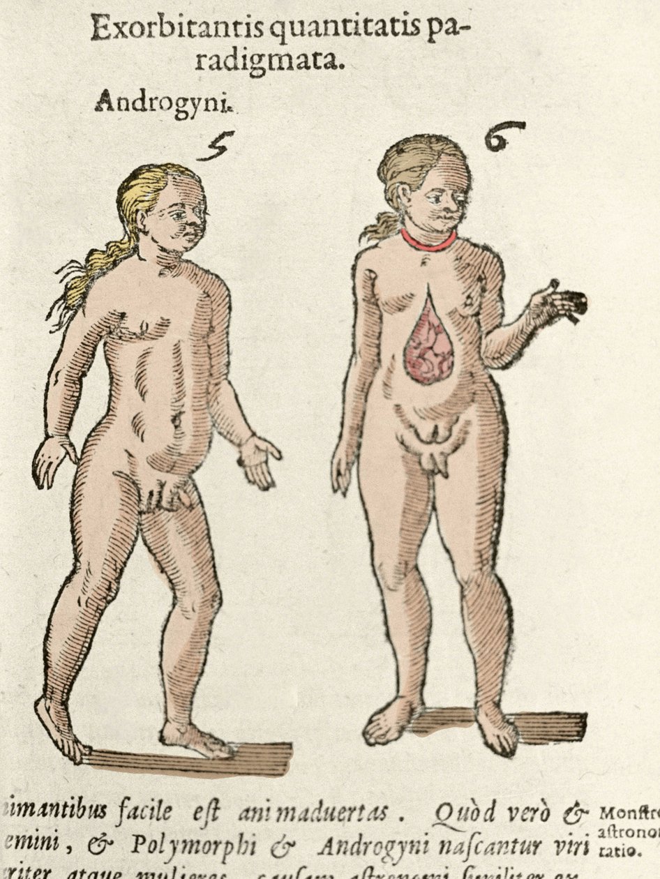 Bir androjen ve bir hermafroditin temsili. Cornelio Gemma tarafından De natura Divinis caracteris”ten alınan plaka 1575 by Unknown artist